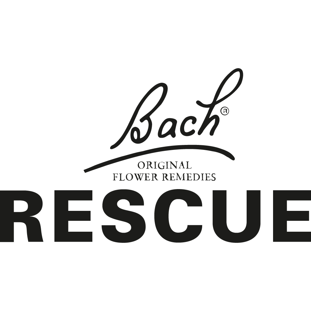 Bach